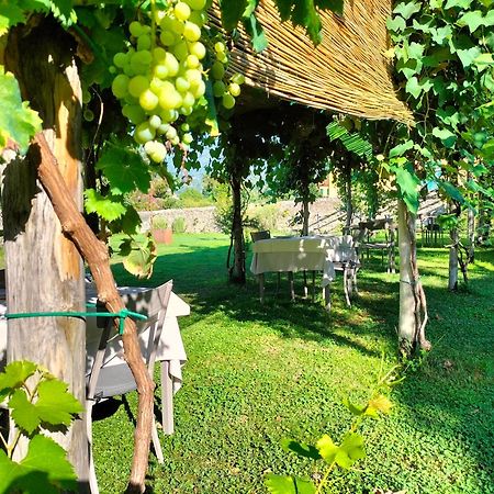 Badia Giulia Prestigious Historical B&B, Camaiore - Adults Only - No Pets Экстерьер фото