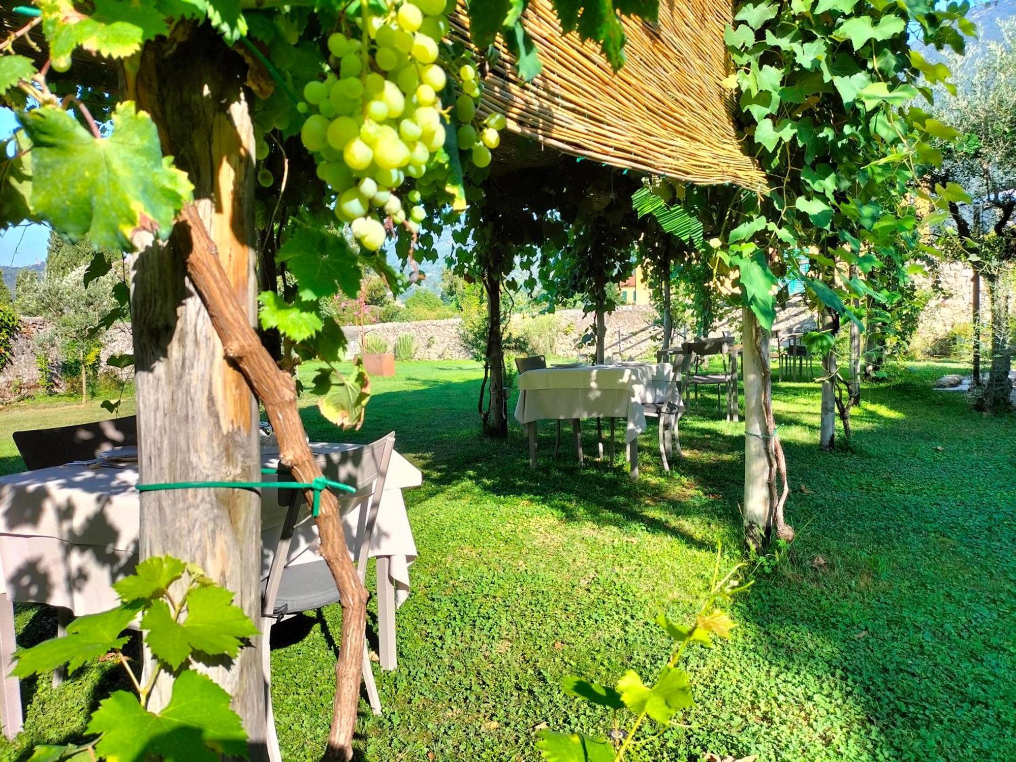 Badia Giulia Prestigious Historical B&B, Camaiore - Adults Only - No Pets Экстерьер фото